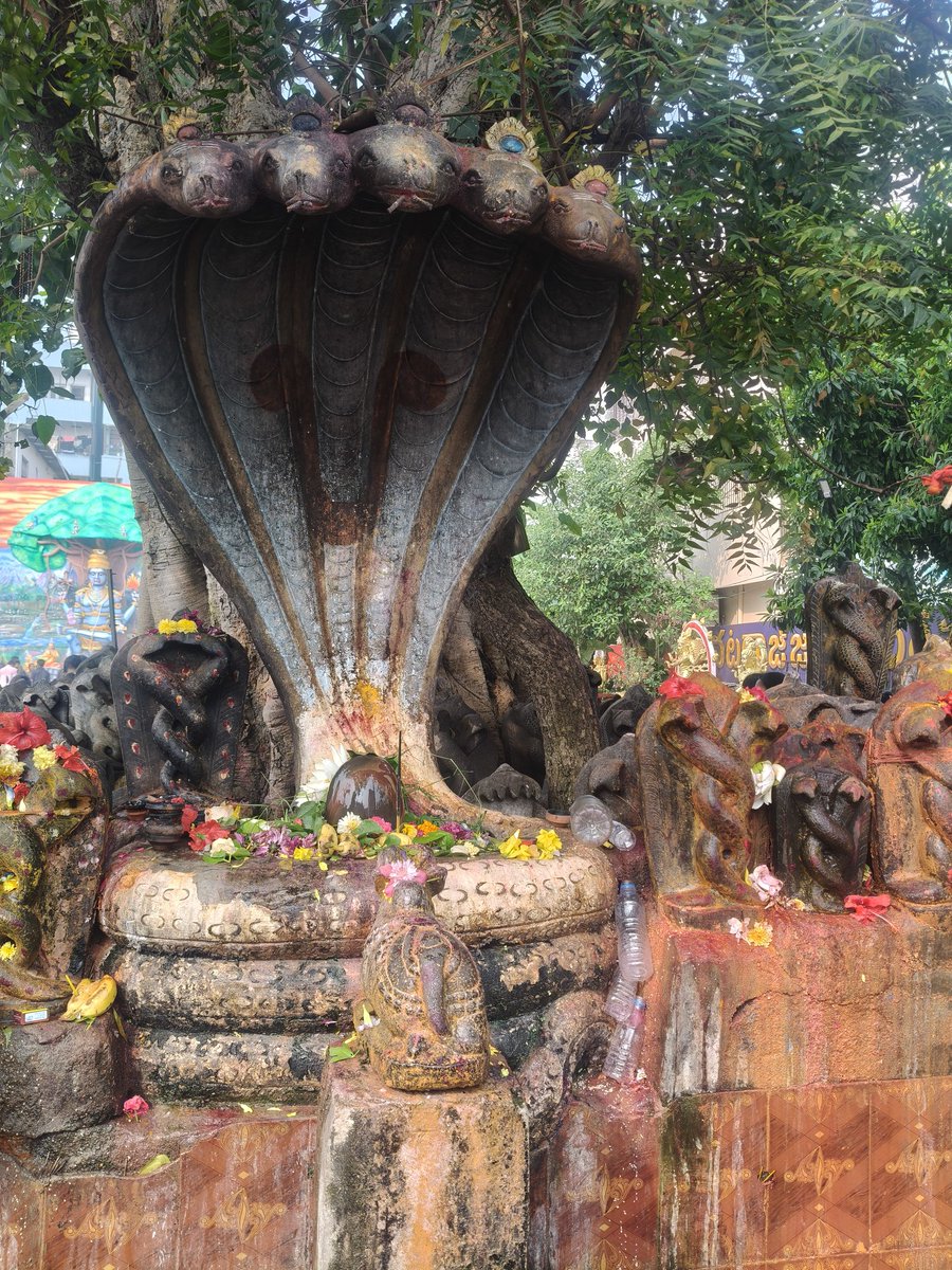 slutry_vidya's tweet image. Subramanya shashti 🙏🙏🙏 subhakankshalu 🥰🥰🥰