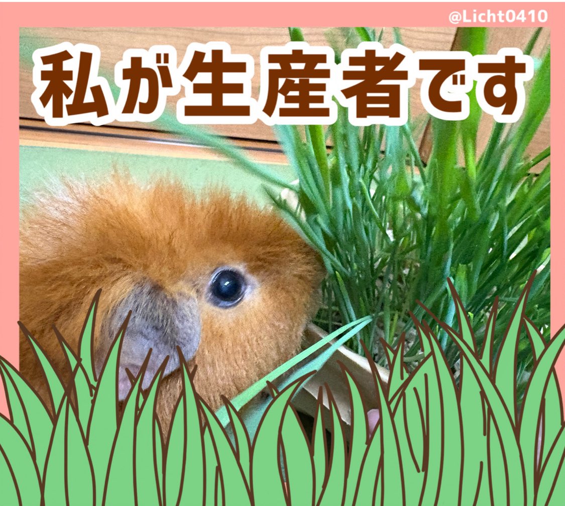 やば！めっちゃ可愛いです😂 早速遊んでくださりありがとうございます！