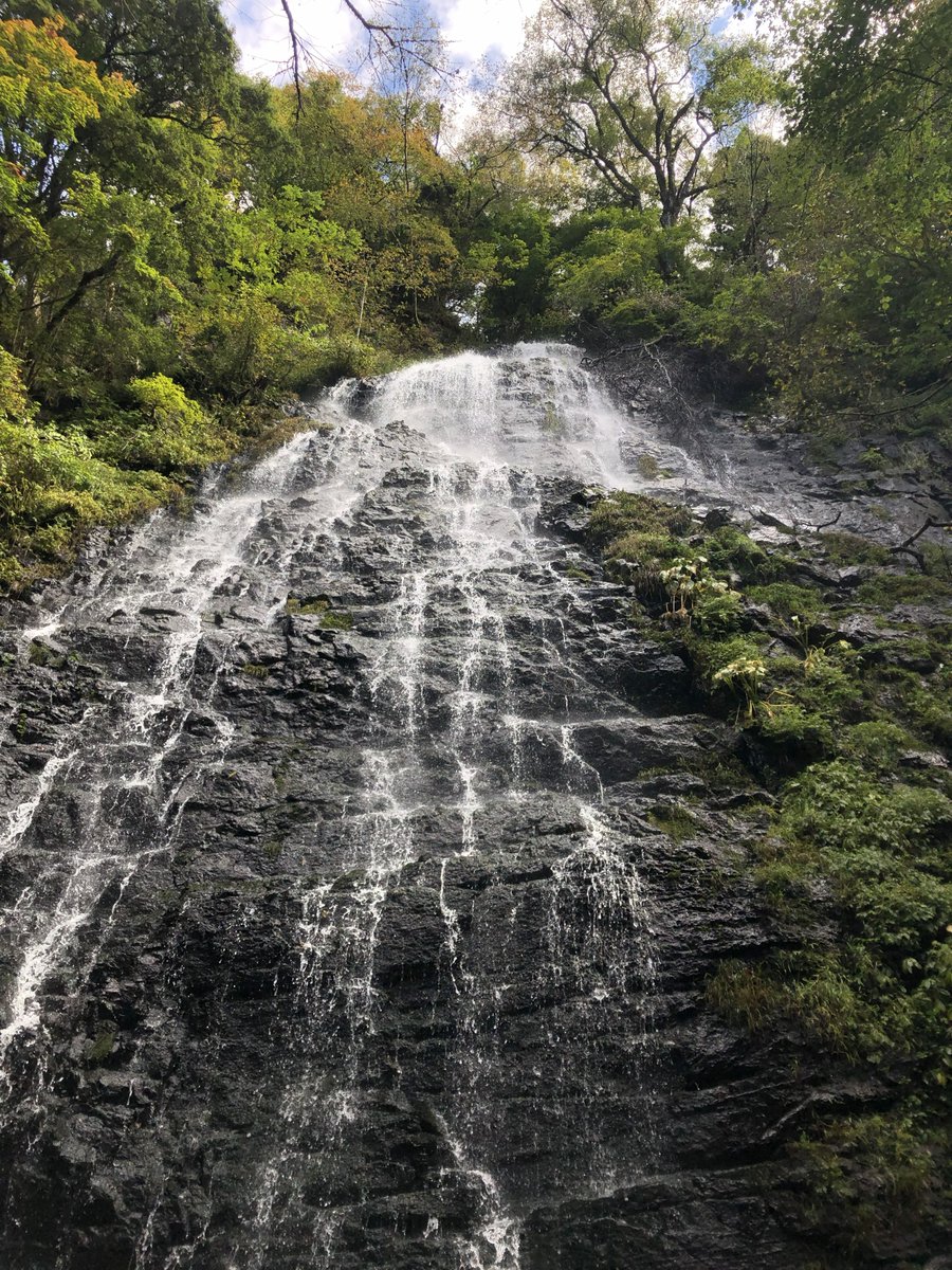 11月28日（金）16時から、「足羽川ダム本体建設工事展望台」や「龍双ヶ滝」へ続く県道34号（松ヶ谷宝慶寺大野線）が冬季通行止めとなります。
通行止めの解除時期は、例年3月末頃です。
（天候や工事事情によって多少ずれます）
詳しくは道路情報をご覧ください。
town.ikeda.fukui.jp/toplink/emerge…