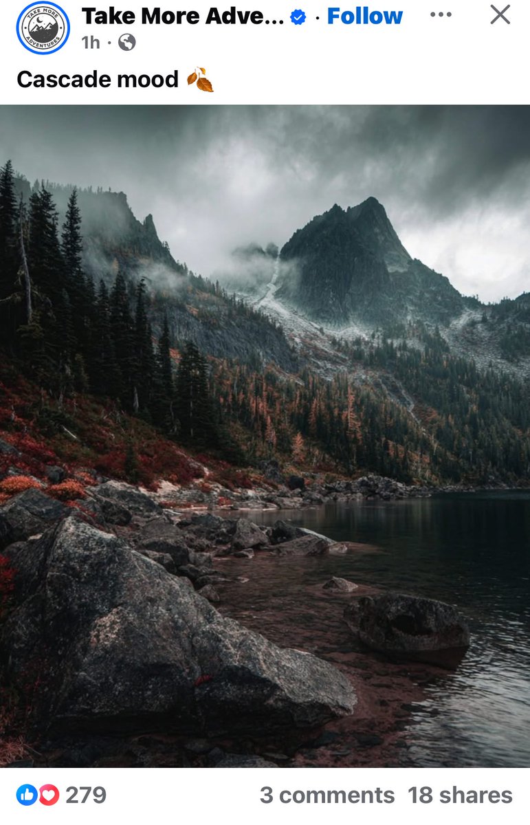 cleverly1187's tweet image. 