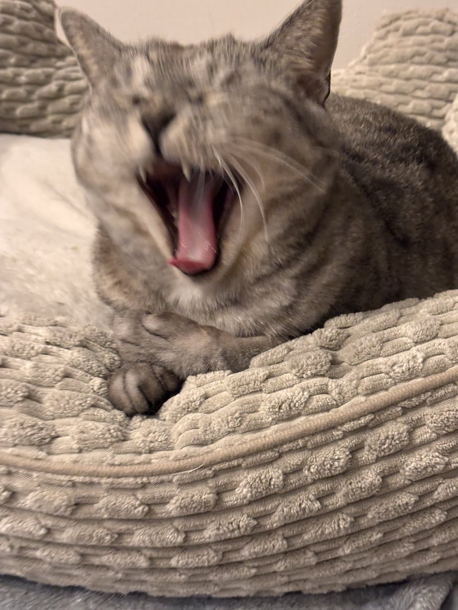 つむぐ tweet media