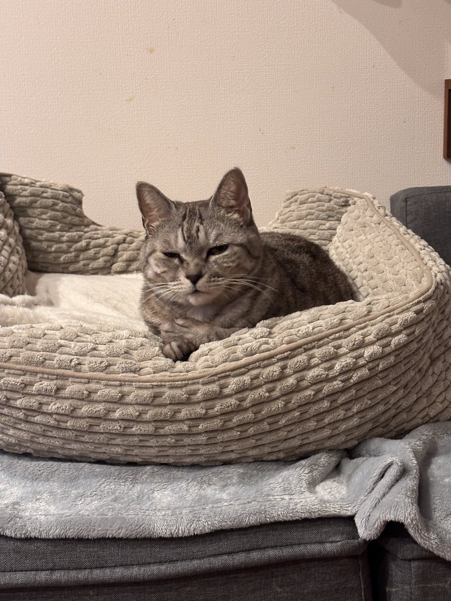 つむぐ tweet media