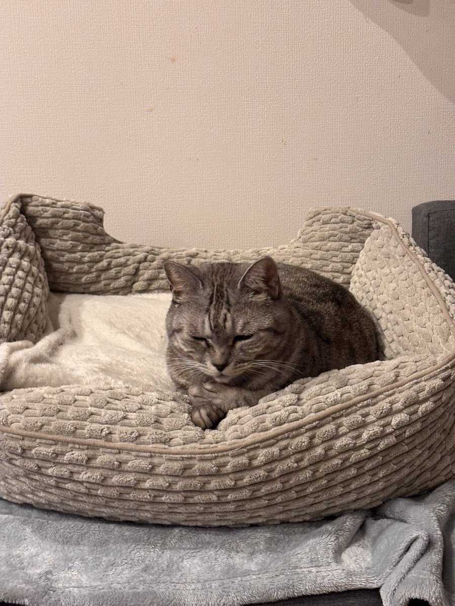 つむぐ tweet media