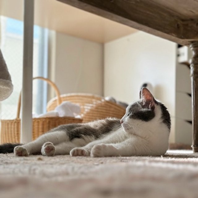 yumeruri's tweet image. 手足かわいいね