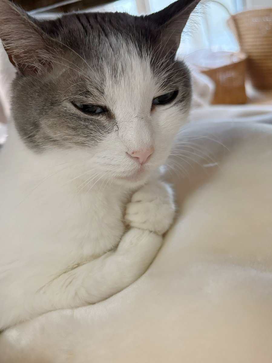 yumeruri's tweet image. 手足かわいいね