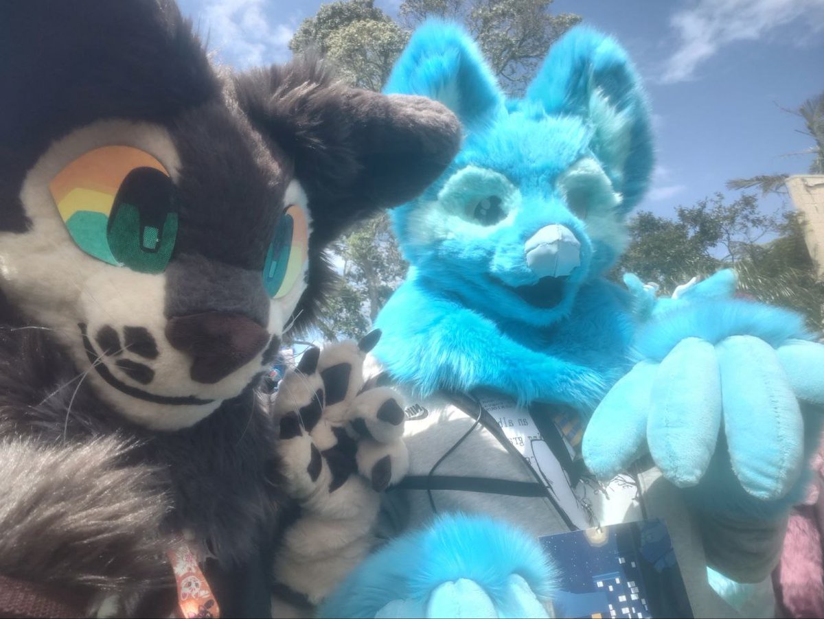 Zolfarius tweet media