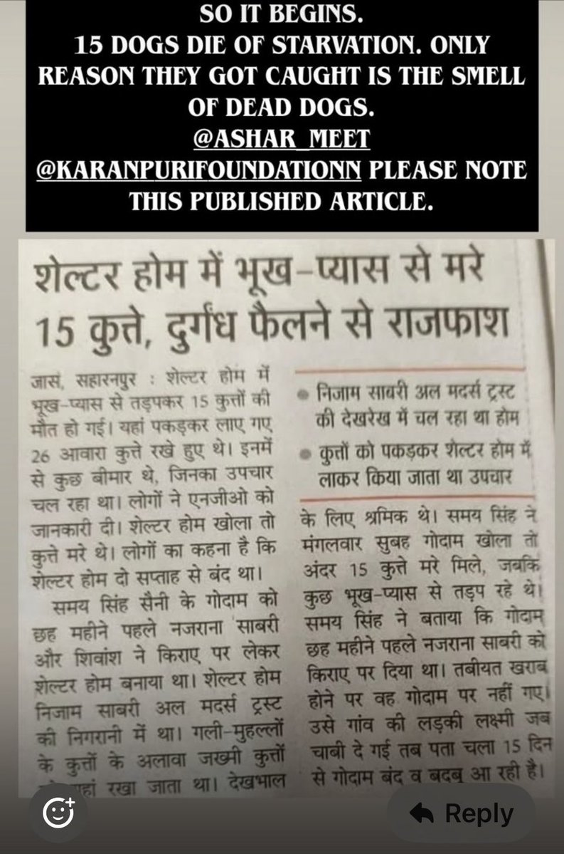 NeetaSh31043935's tweet image. Milords achieved exactly what with their ridiculous order of removing #communitydogs.  Cruelty must be called out. Diversions required from political issues can’t be torture of the voiceless. #StopAnimalCruelty @PetaIndia @TheViditsharma