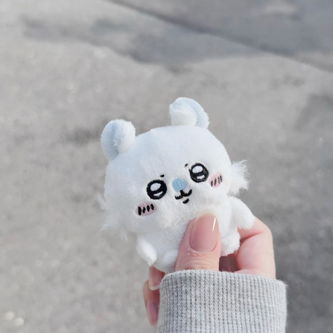 モモ ブルーBlue (@grand_bleu0711) / Posts and Replies / X