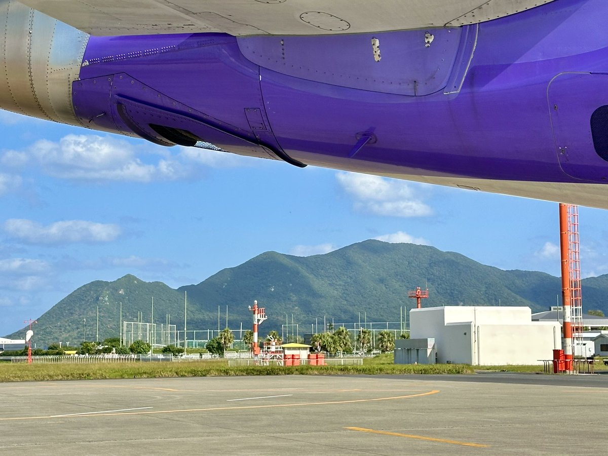 紫雲ページ 紫色文具購入報告[65]23年12月／アシュフォードのシステム手帳