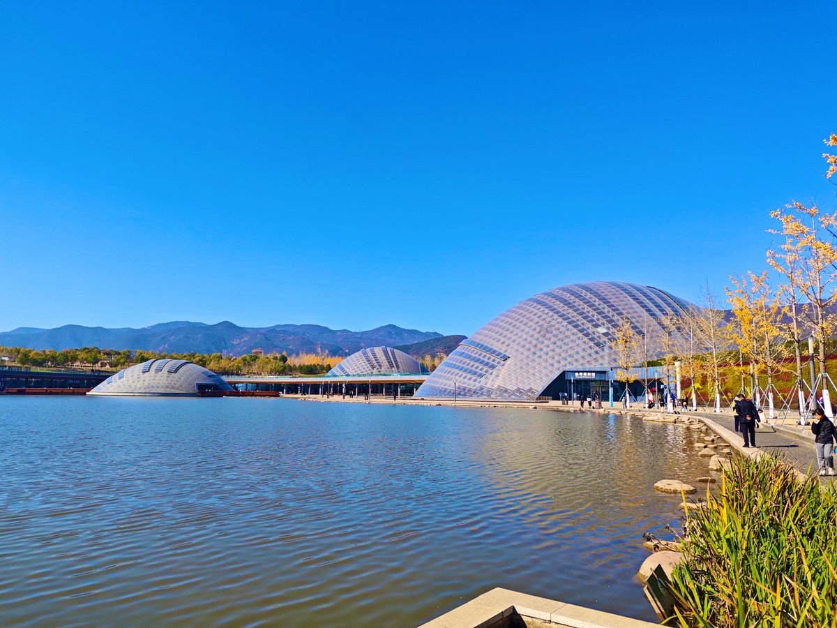 david_andrew123's tweet image. botanic garden🌲🌳🌴🎋🪾🍂🍁🌱