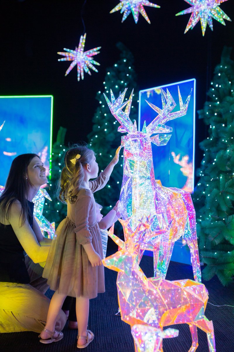 Glitter Pines is a magical Christmas event with a glowing Christmas forest, sparkling trees, dazzling LED screens, falling snow, and interactive displays. On from 6-21 December #ad #adelaide #glitterpines #xmas whatsoninadelaide.net.au/events/glitter…