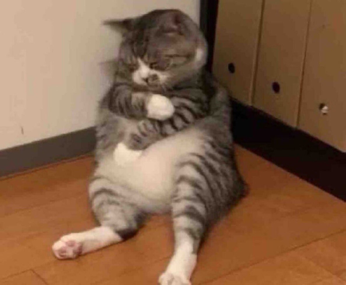 “Disfruta mientras eres joven y estas lleno de energía”

Yo después de salir del trabajo: