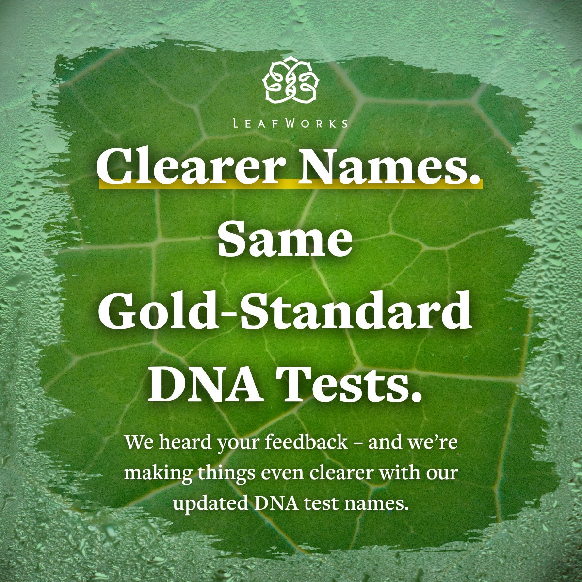 LeafWorks tweet media