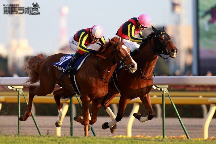 貴婦人の想い出】 ジェンティルドンナが亡くなった11月25日は