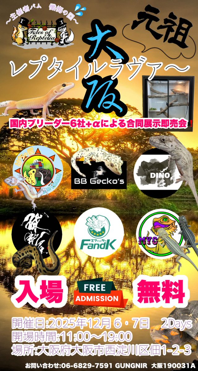 GungnirAnimals's tweet photo. ⭐️イベント告知⭐️

12月6、7日の2Daysで『大阪レプタイルラヴァ〜2025『主催者バム、懺悔の回』』を開催❗️

今回は元祖ラヴァ〜メンバーで主催のバム氏を針の筵に座らせようという企画‼️ではなく初心に立ち戻りお客様に大還元するラヴァ〜です✨

続く https://t.co/6N5vdkdpZT