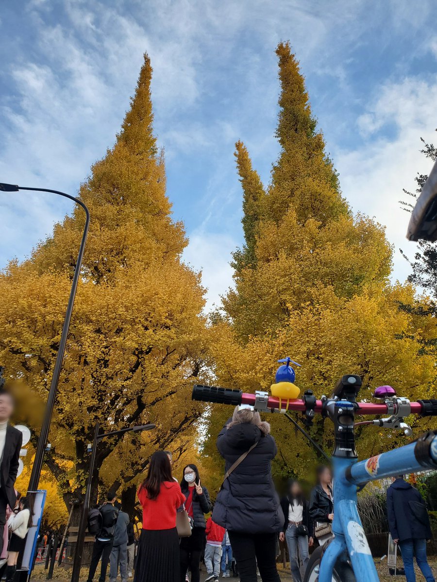 cyclecirclet_zw's tweet photo. 色付いてました!!! #ロードバイク #trackbike #ピスト #roadbike #pist #ポタリング #ゆるポタ #tokyoride #都内ポタリング #都内ポタ #東京ライド #東京ポタリング #サイクリング #神宮外苑いちょう並木 #紅葉 https://t.co/S8Fgp7IsrU