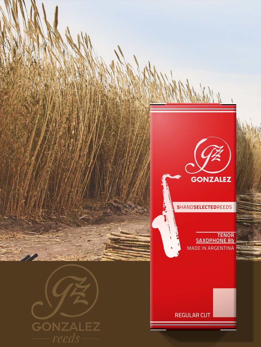 ゴンザレス、試してみませんか？ スタンダードなレギュラーカットのRC