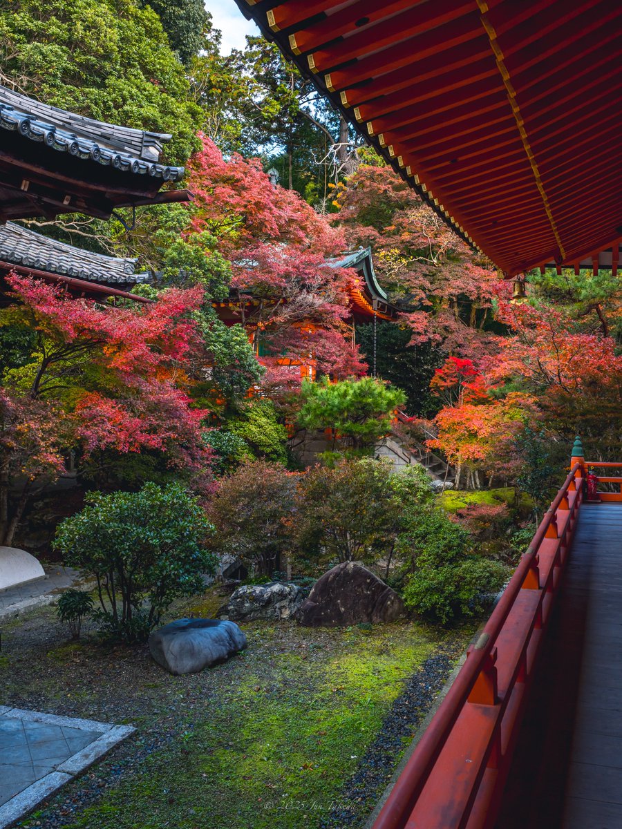 man_tac's tweet image. 京都山科毘沙門堂さんの紅葉②🍁
2025.11.19撮影

#京都よきかな 
Leica SL2-S x SIGMA 28-105mm F2.8 DG DN | Art