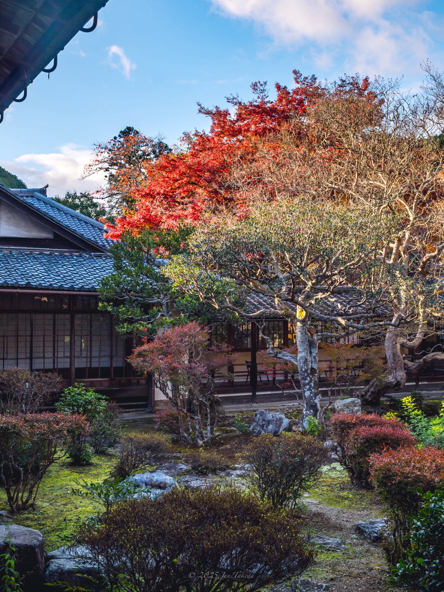 man_tac's tweet image. 京都山科毘沙門堂さんの紅葉②🍁
2025.11.19撮影

#京都よきかな 
Leica SL2-S x SIGMA 28-105mm F2.8 DG DN | Art