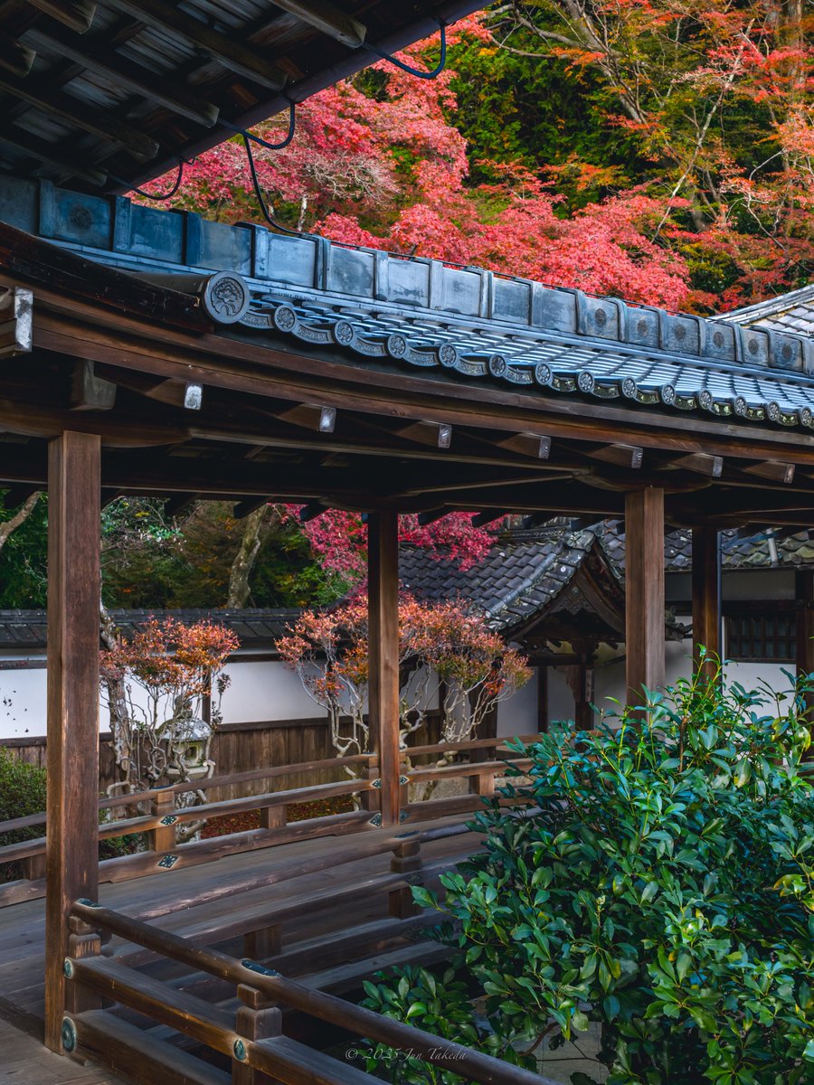 man_tac's tweet image. 京都山科毘沙門堂さんの紅葉②🍁
2025.11.19撮影

#京都よきかな 
Leica SL2-S x SIGMA 28-105mm F2.8 DG DN | Art