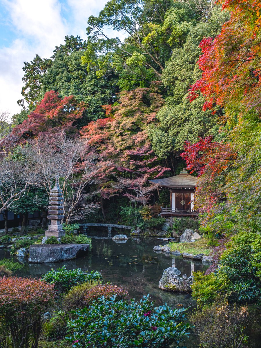 man_tac's tweet image. 京都山科毘沙門堂さんの紅葉②🍁
2025.11.19撮影

#京都よきかな 
Leica SL2-S x SIGMA 28-105mm F2.8 DG DN | Art
