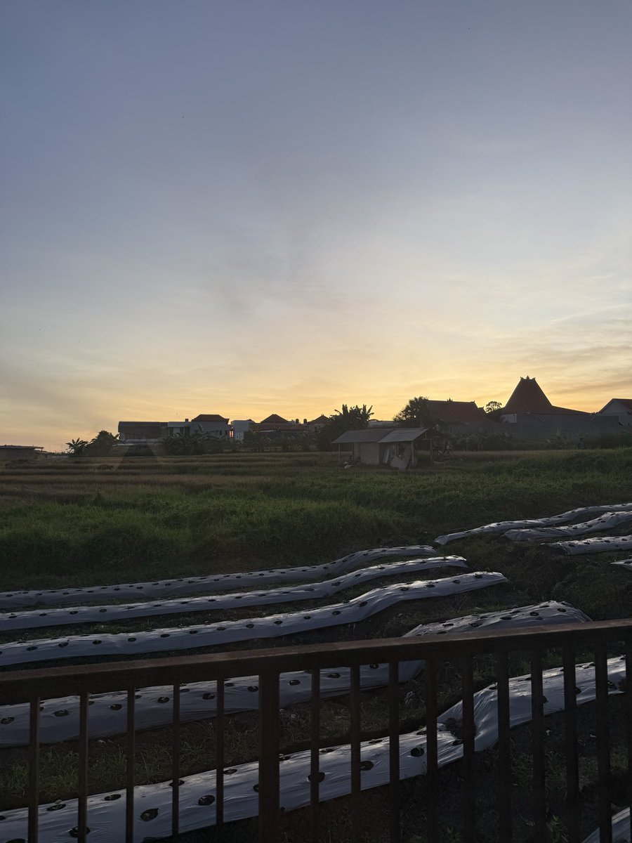 Mehdi Amrani tweet media