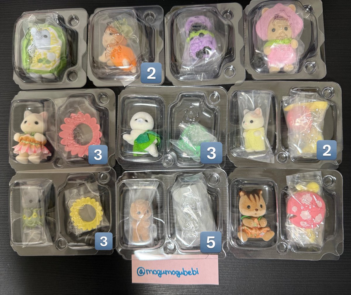 もぐ❕ tweet media