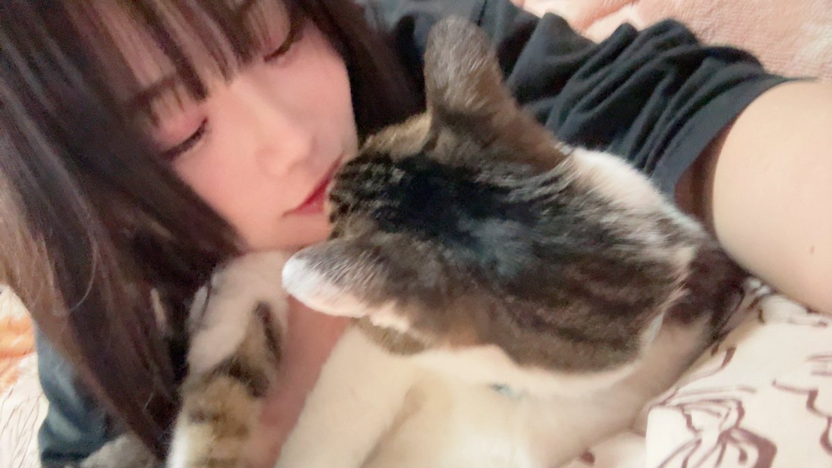 Post by つきにゃん on X: おはよう