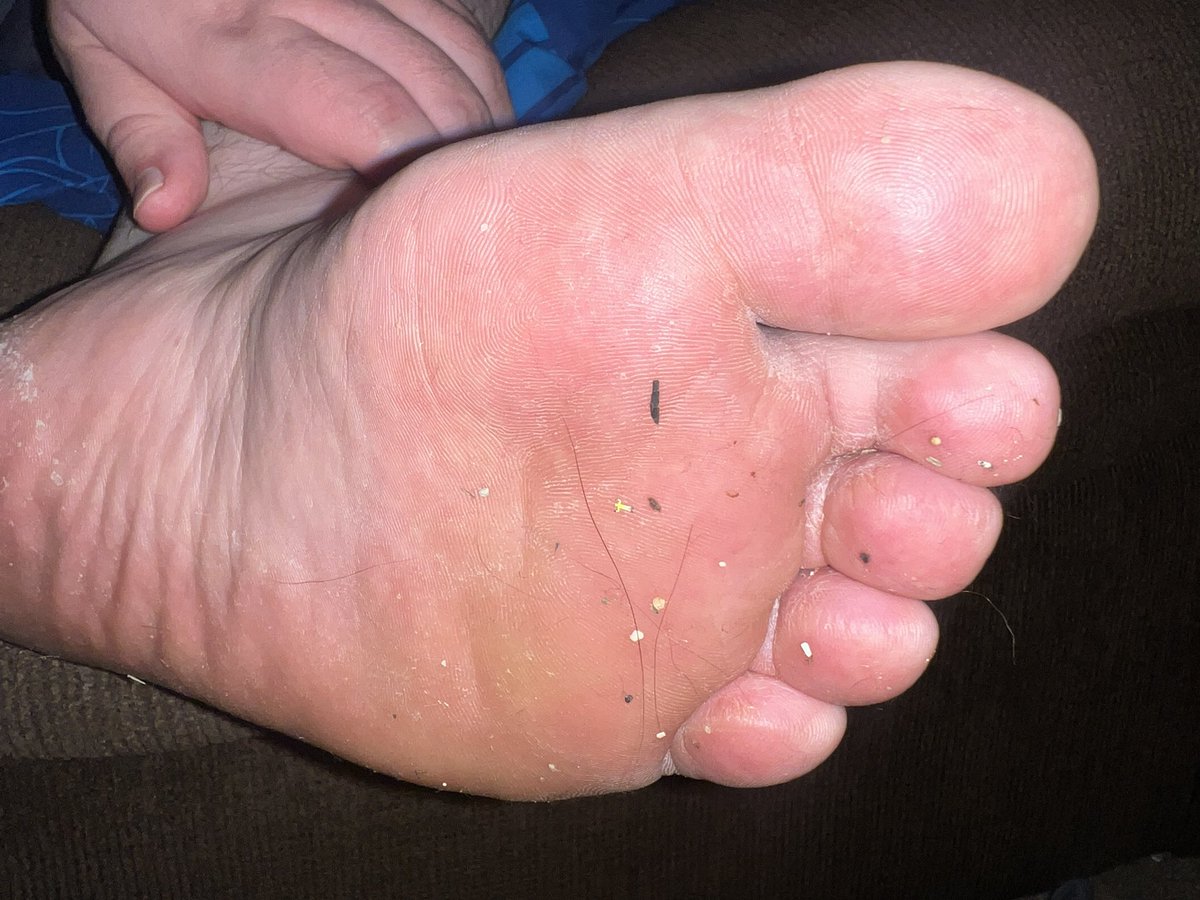 Dang, which one of you did I step on this time?
And what were you even doing on the floor? You think by now you’d know what happens down there 
It’s almost like you want to be stepped on 

#SizeTwitter