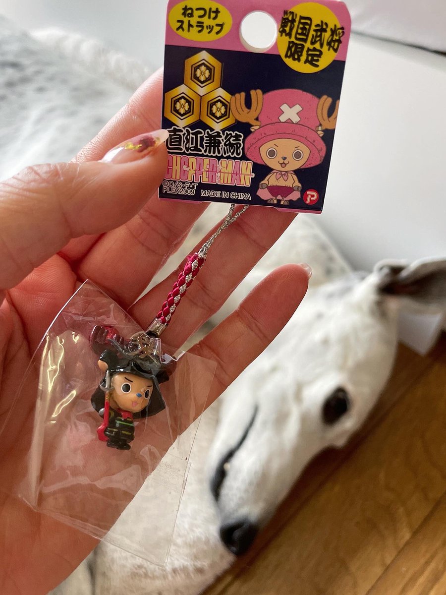 Dreamcase tweet media