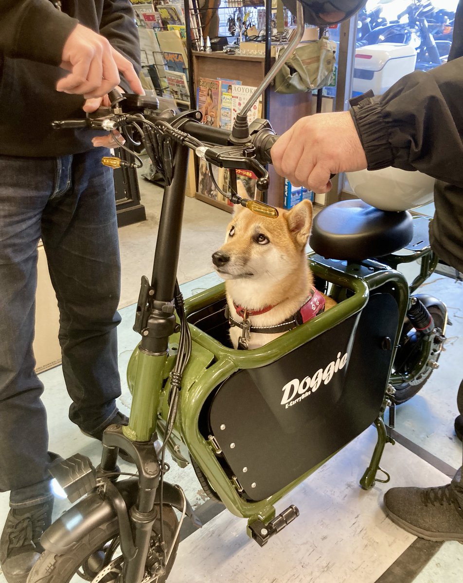 きのじ (@kinoji) / Posts / X