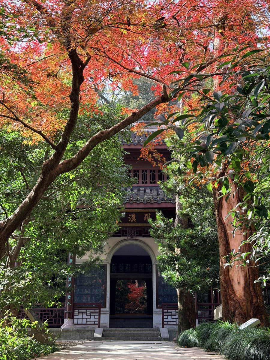 王老白 tweet media