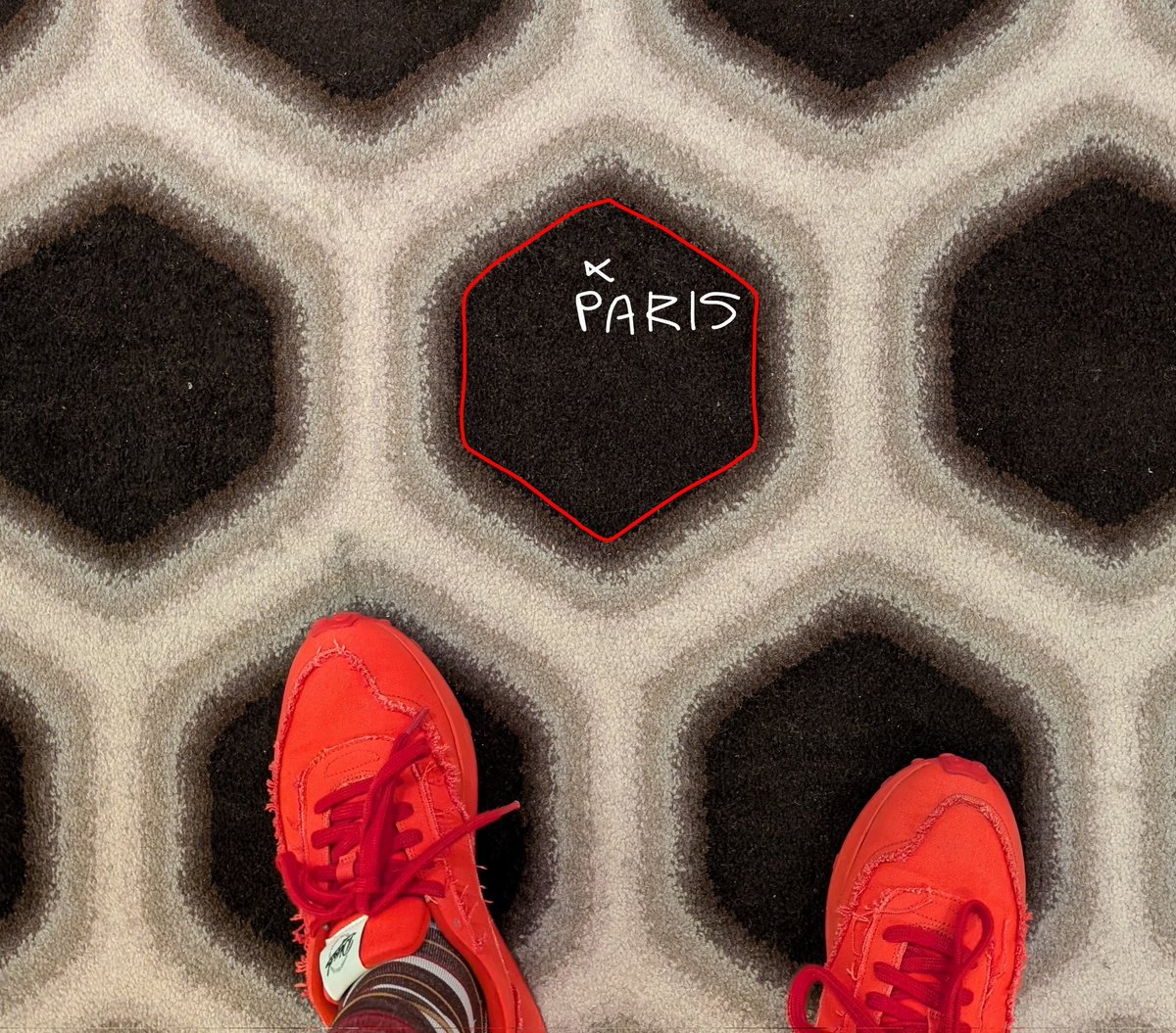 kennethfield's tweet image. #30DayMapChallenge Day 25: Hexagons.

Carpet in the Qantas lounge at LAX provides a perfect template for a quick map of France.