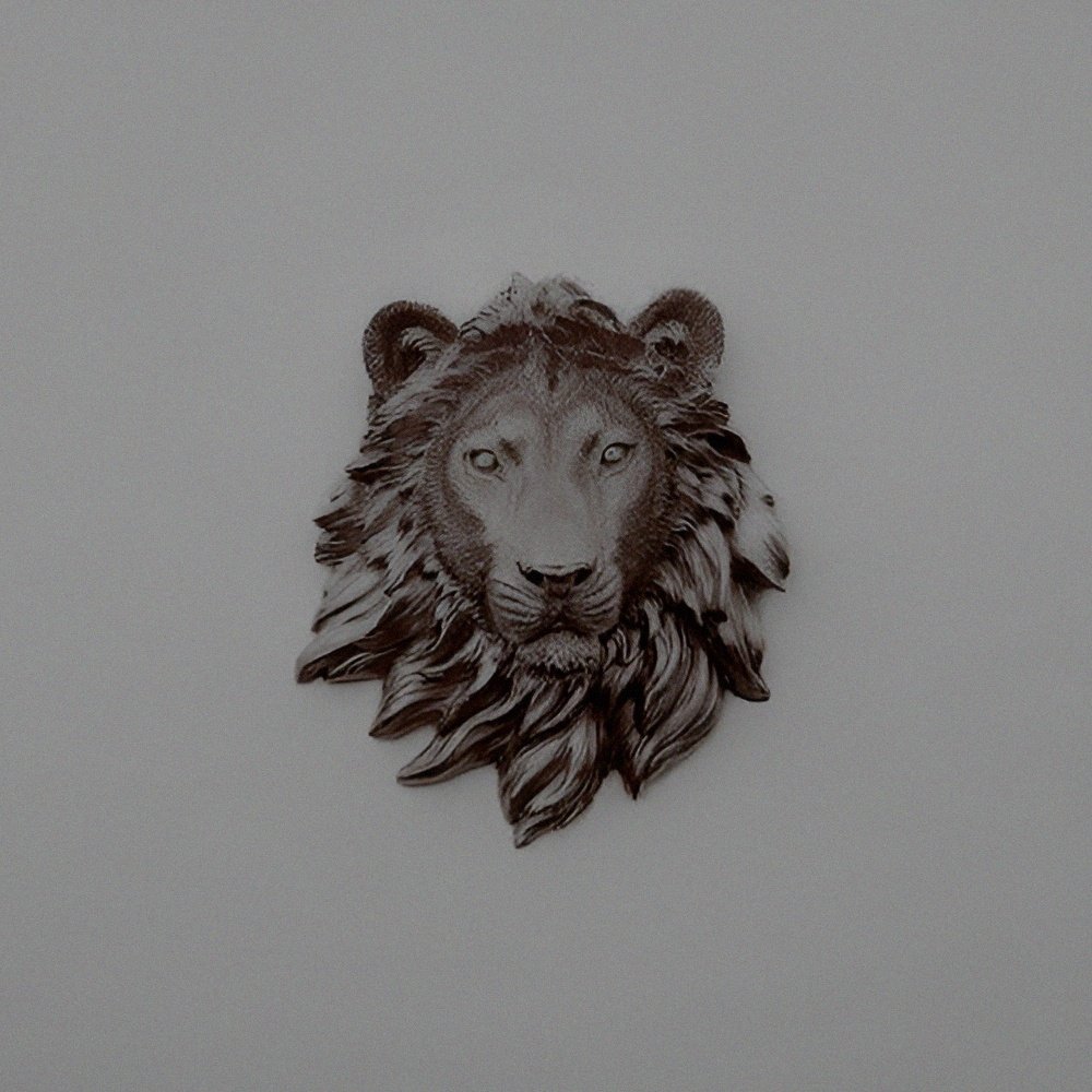 ᅠ ᅠᅠ‘ᅠ𝓗𝙾͟𝙿͟𝙴ᅠ𝓛𝙰͟𝙽͟𝙽͟𝙸͟𝚂͟𝚃͟𝙴͟𝚁ᅠ. tweet media