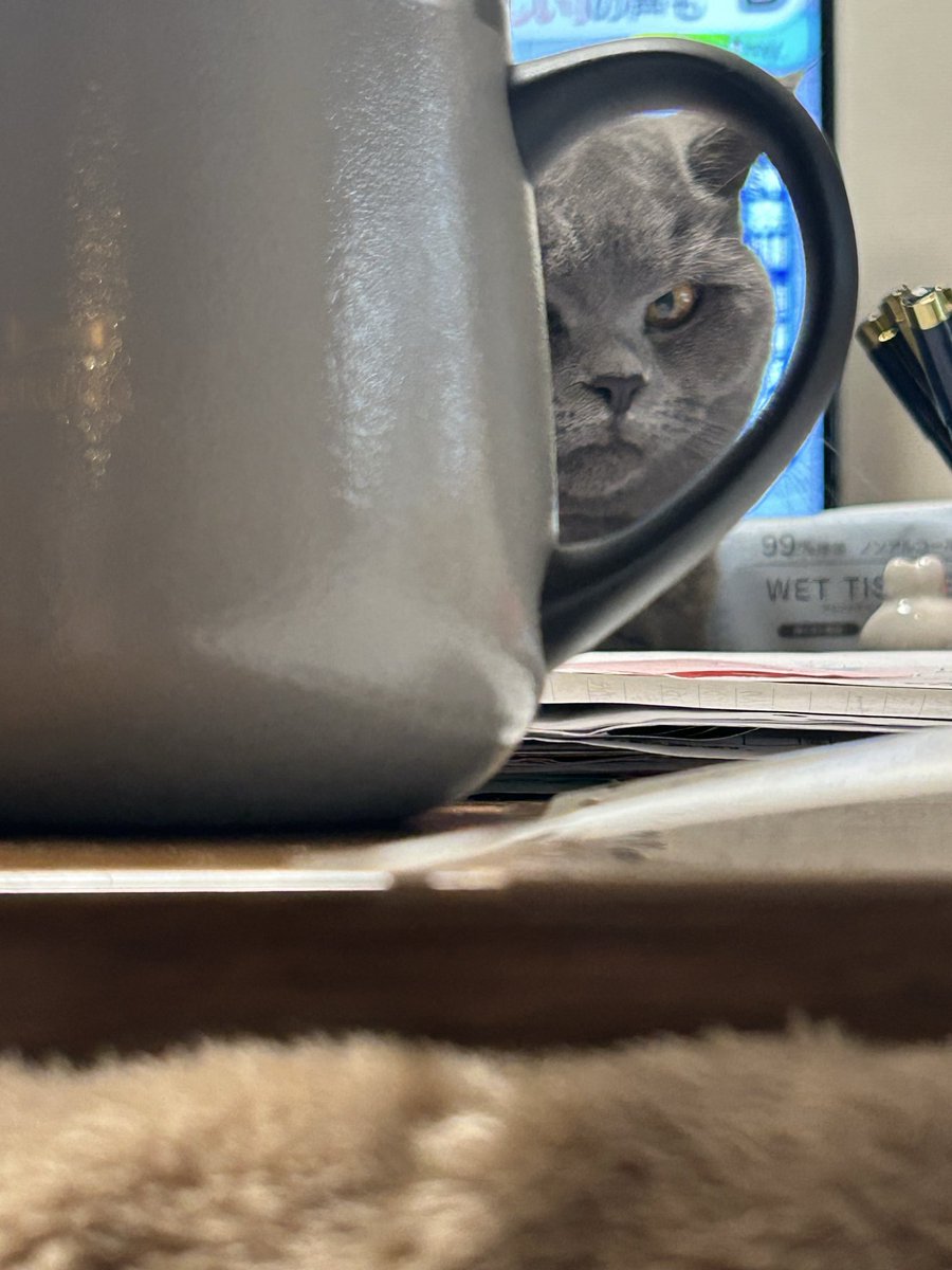 yokikanaaaaa_'s tweet image. ……………