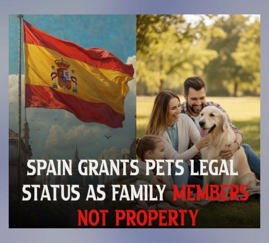 TruthWolf56's tweet image. 