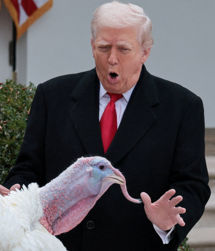 Theme_from_Jaws's tweet image. 