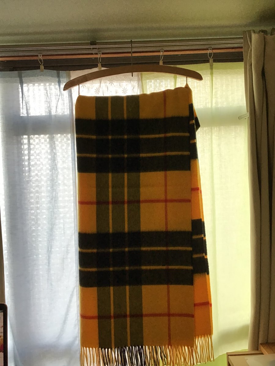 おおくにさなえ (@whimbear) / Posts / X