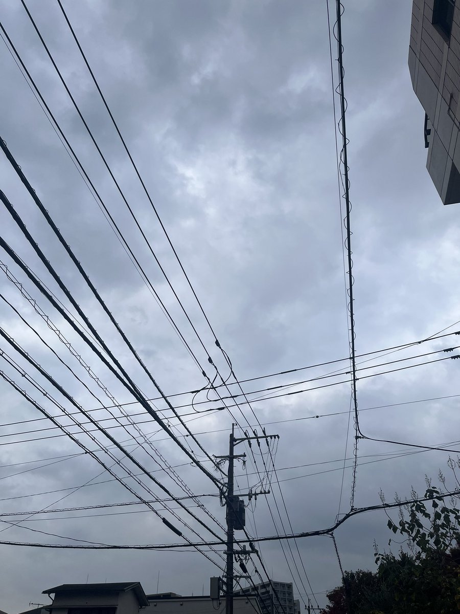 piccolo5655's tweet image. おはよー火曜日
^ ^