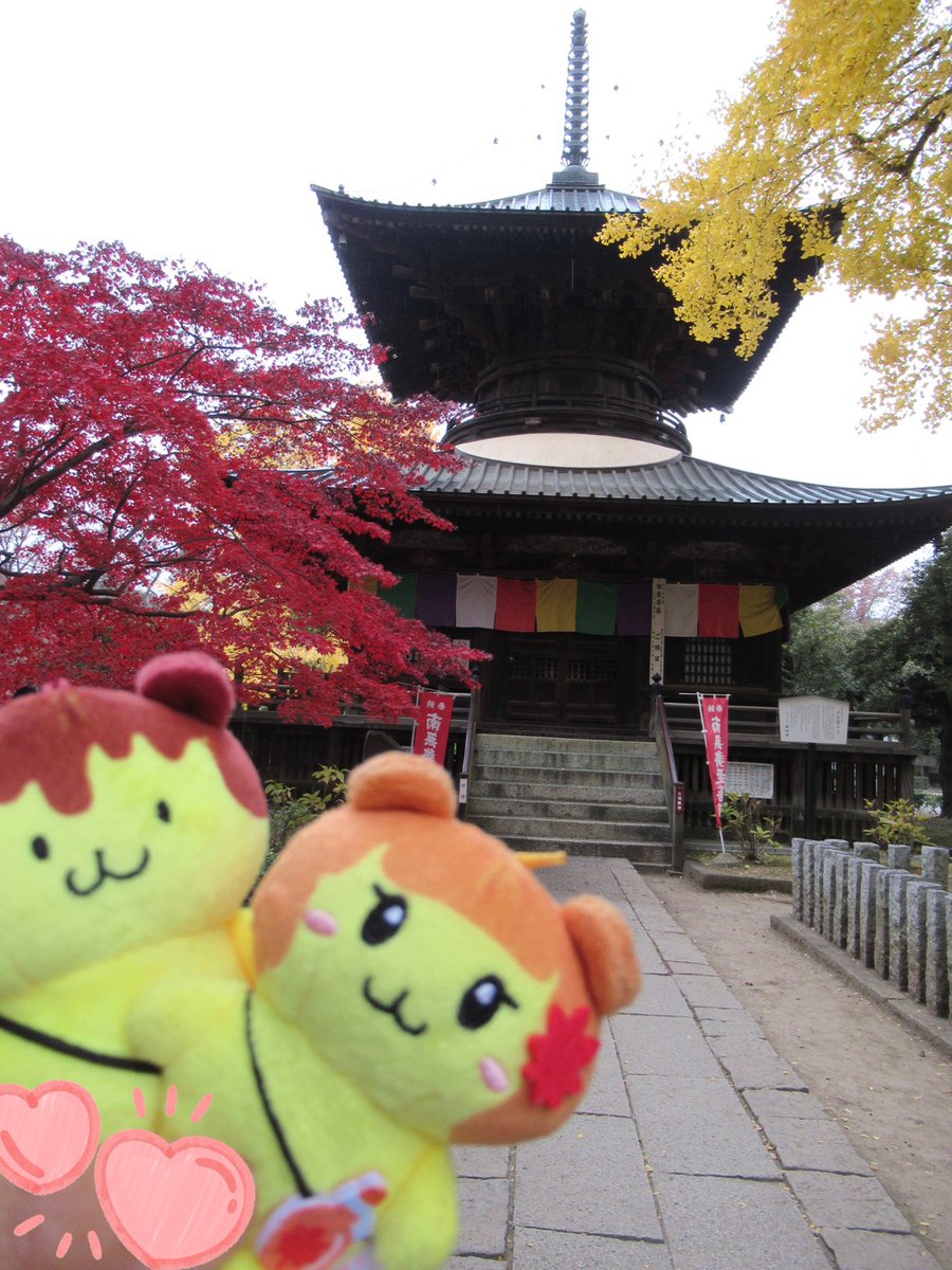 くっきー (@sunflower931220) / Posts / X