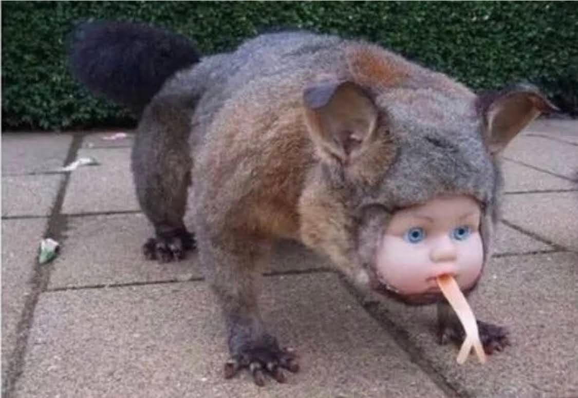 ate_agit's tweet image. g**gle getting my metadata and stuff:

my google photos: