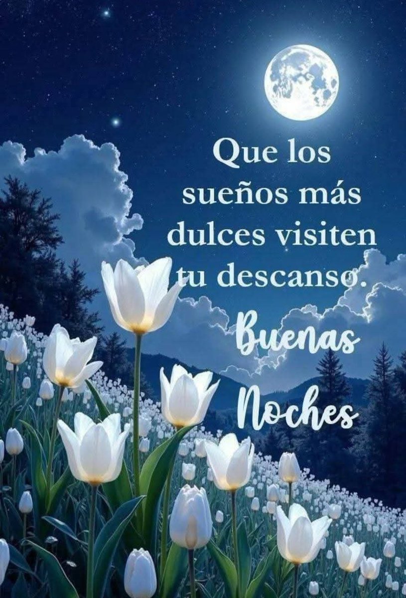 Linda noche a todos🤗♥️🌷🙏🌹