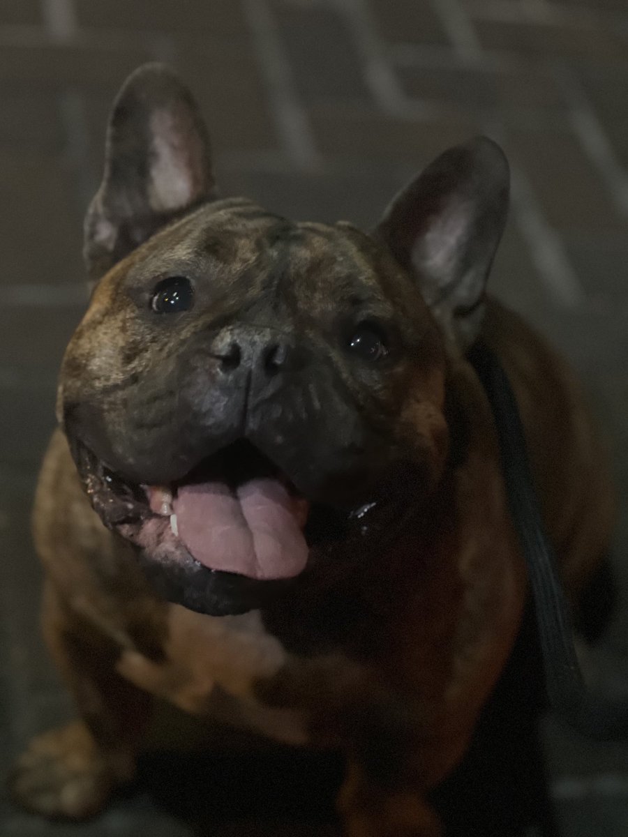 We should be more like Percy… js