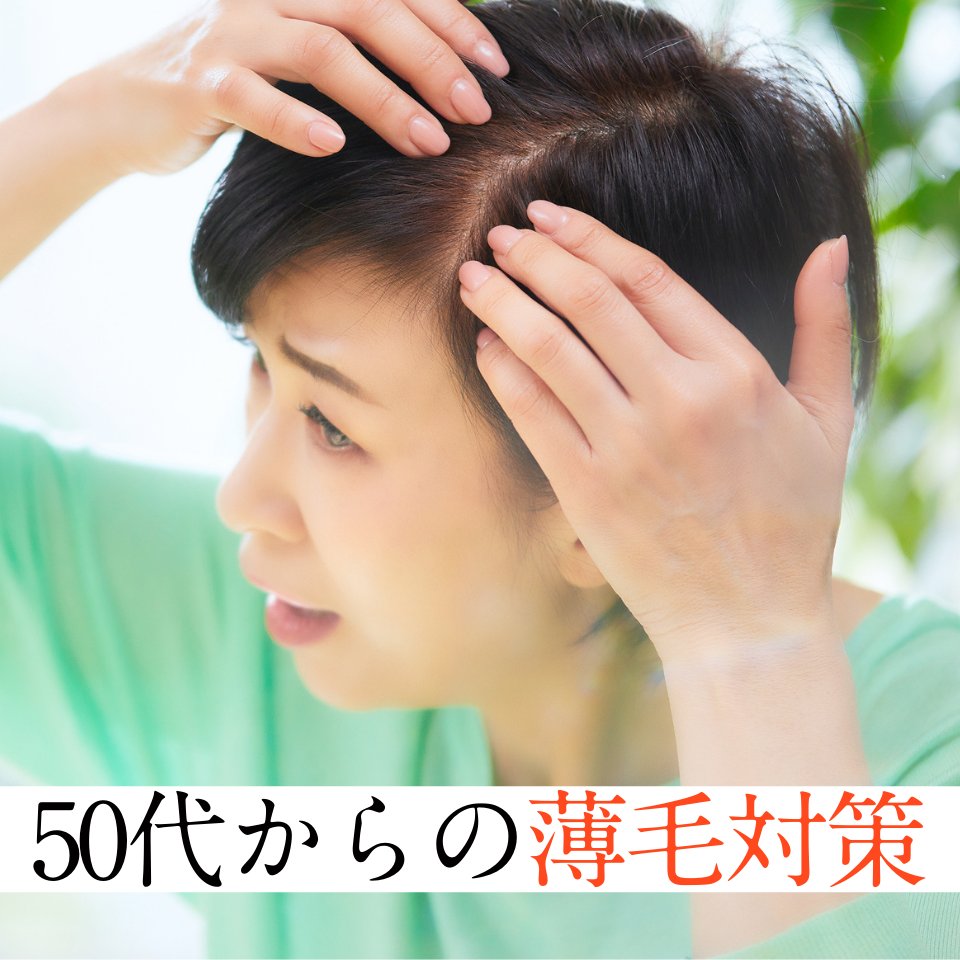 HALMEK up tweet media