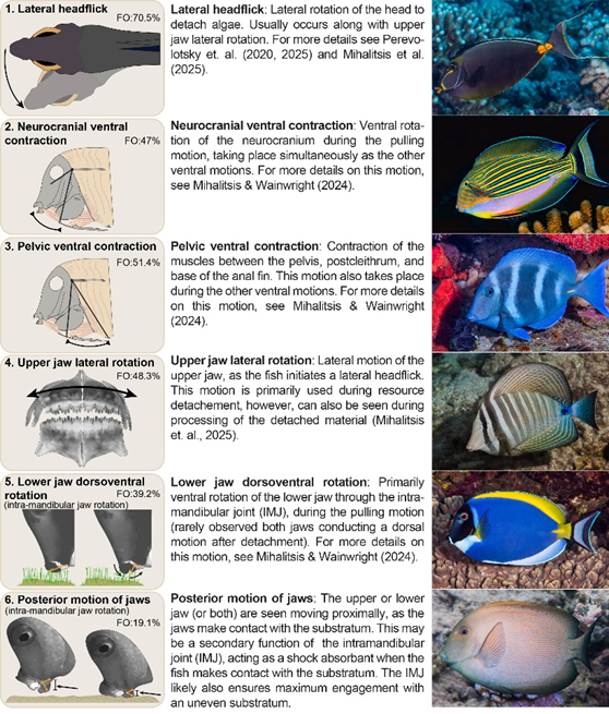 Mike Mihalitsis tweet media