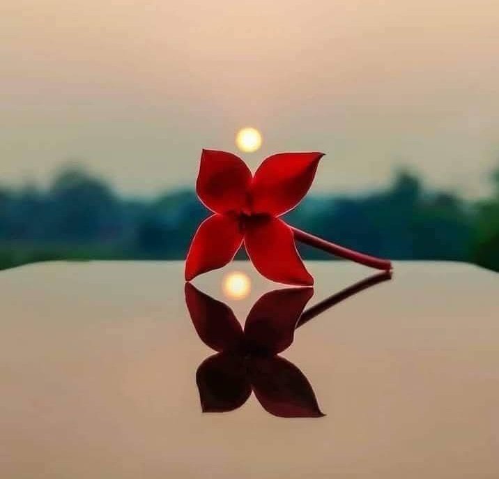 sansofibm's tweet image. Even the smallest efforts can lift us to new heights. Don&apos;t leave when things appear difficult. We ought to stay on, and watch our potential soar.

Good morning, everyone!! 🌞