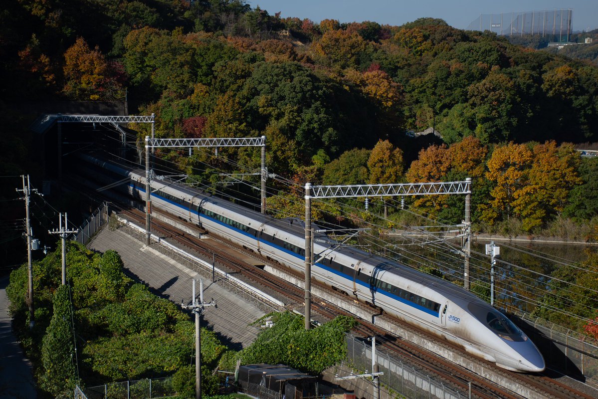 のんちゃん (@non_sv01) / Posts / X