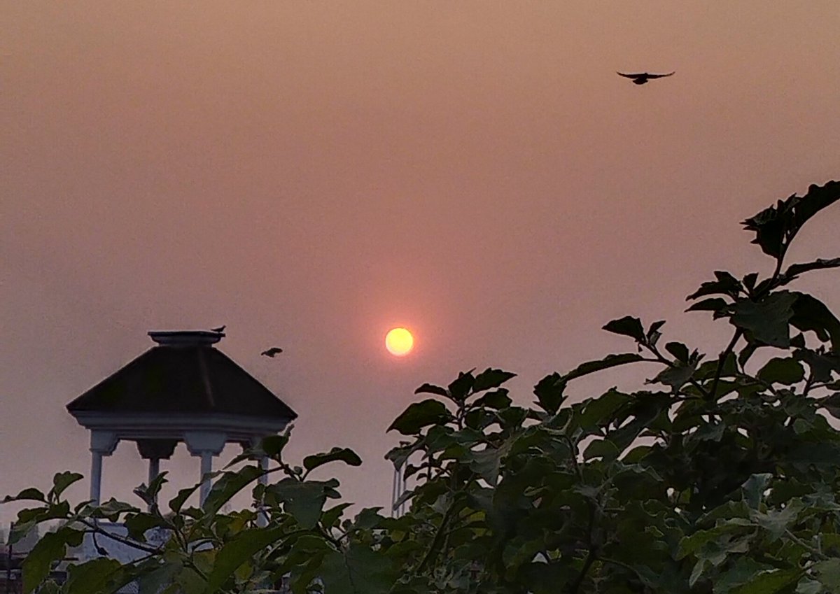 Touch the sky with glory....
Have a wonderful Wednesday 
आपका दिन मंगलमय हो 
ॐ श्री गणेशाय नमः 
Day 1145 of being homeless and battling on.....
#JusticeforAlkaRay 
#theme_pic_India_Sunrise