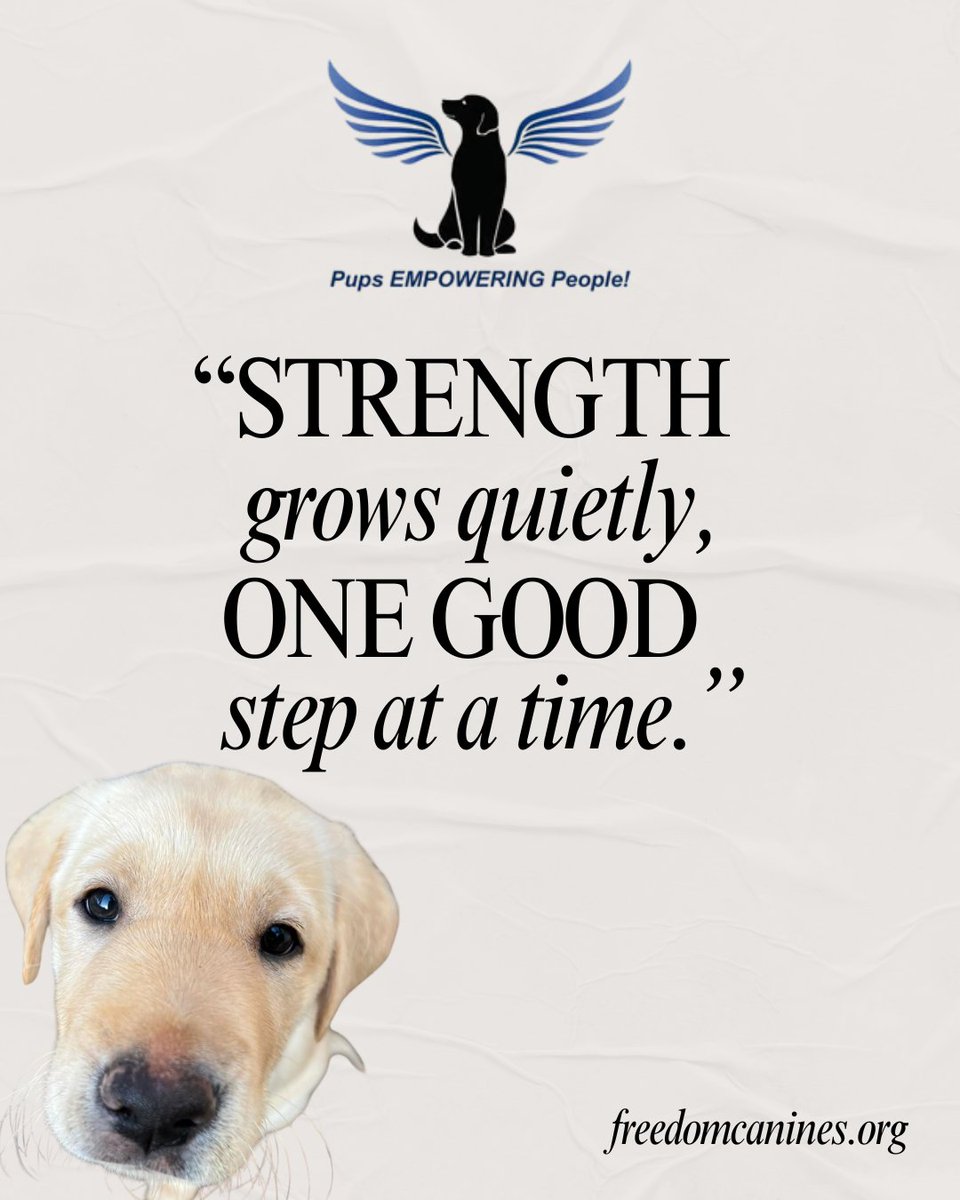 elafantequila's tweet image. Progress doesn’t always bark or boast.
Sometimes it looks like a steady paw, a focused gaze, a moment where everything finally clicks.
freedomcanines.org 

#FreedomCanineTuesday #PupsEmpoweringPeople #ServiceDogs #ElAfanSupports #CanineHeroes #DogsofFCI #AssistanceDogs