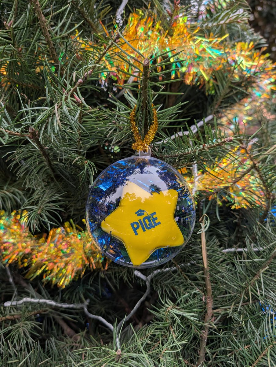 If you’re in the San Jose area, swing by Christmas in the Park and check out PIQE’s Christmas tree! 🎄 We’re so excited to share it with our community this holiday season. Come take a photo, enjoy the holiday magic, and tag us so we can celebrate together.